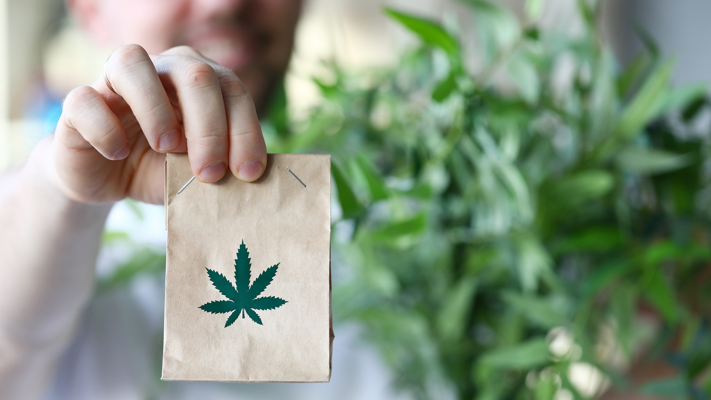 Do I need a medical card to buy cannabis from a dispensary?